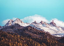 WTT总决赛 王曼昱4-2张本美和晋级女单八强