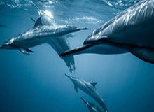 侃球时间丨韩鹏的阶段性成果 球队的历史性胜利